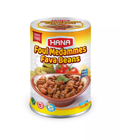 Foul Fava Beans