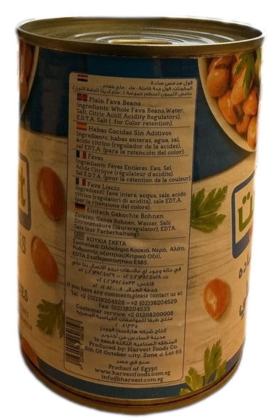 Harvest Fava Bean 400g