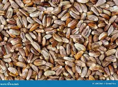 Jafra Safflower 120 G