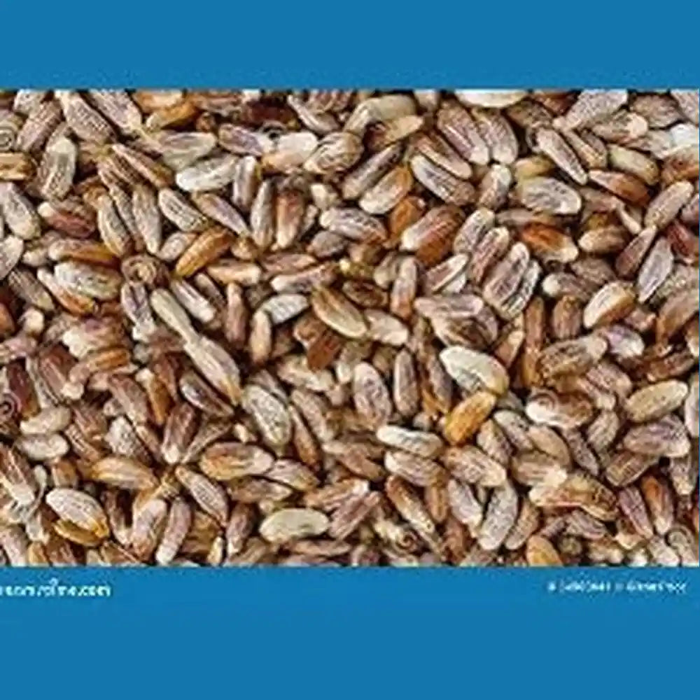 Jafra Safflower 120 G