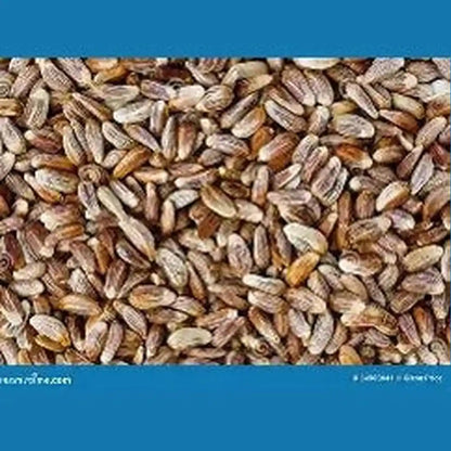 Jafra Safflower 120 G