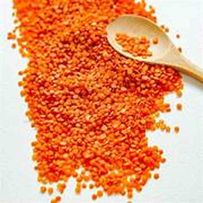 Loose uncooked Murjan red split lentils on white surface with wood spoon highlighting flat disc shape and matte texture
